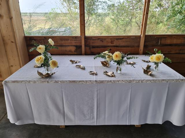 Las Flores de Lucía - 1