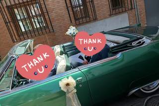 Clásicos de Lujo - 12