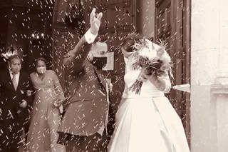 Wedd - 5