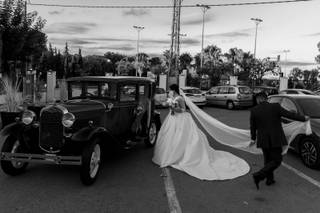 Wedd - 7