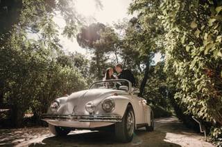 Beetle Love - 5