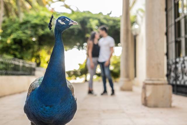 Unico Fotografía 3
