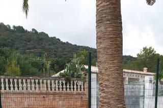 Finca & Complejo Font Luxor - 22