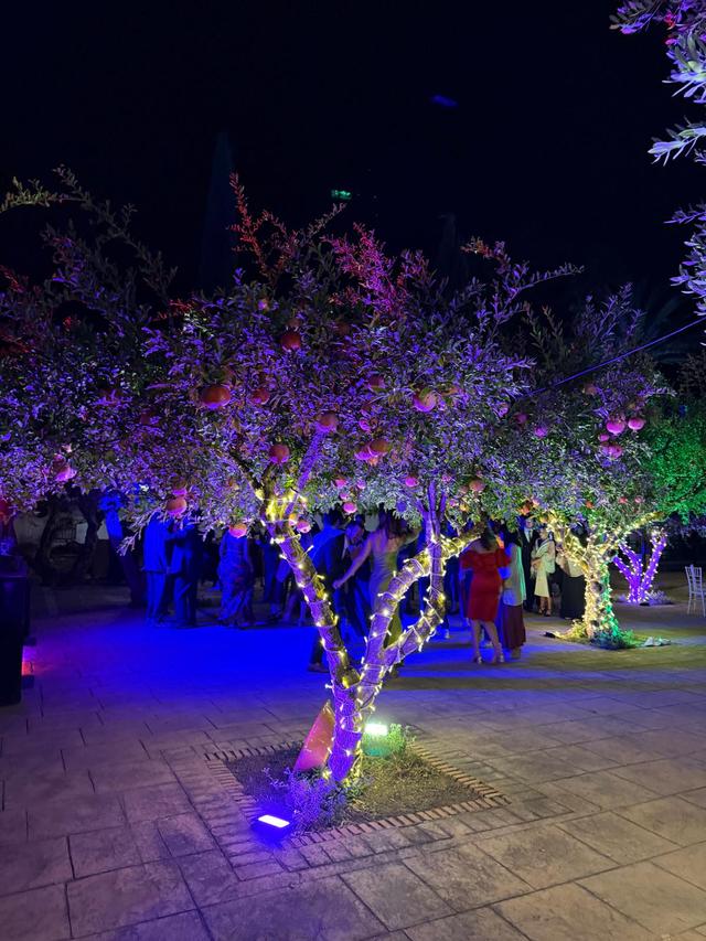 Grupo E+U Iluminación&chillout - 2