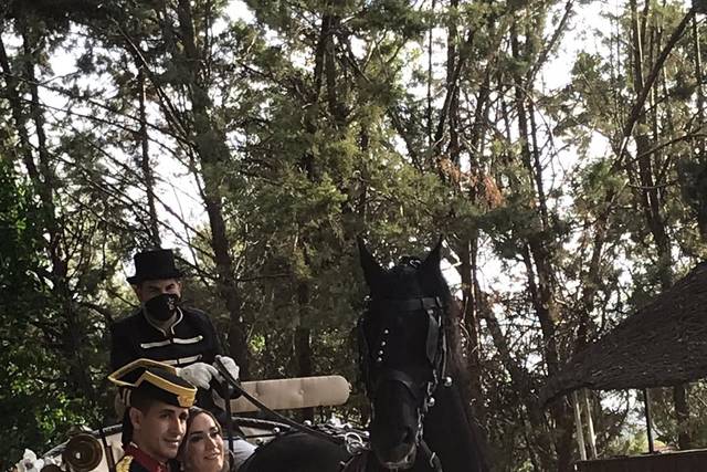 Carruajes Las señoritas 2