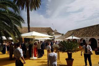 Cortijo Santa Rosa - 17