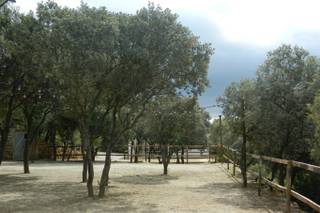 Masia Llorenç - 14