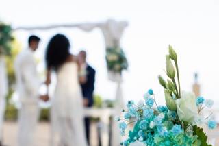 Decoro tu Boda - 1