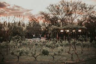 Restaurant Follia - 6