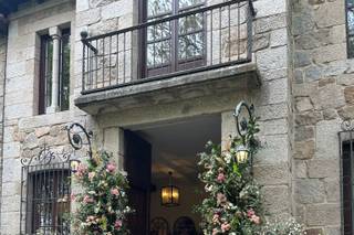 Singular Flower - 1