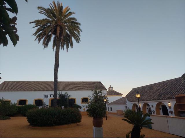 Cortijo Santa Rosa - 3