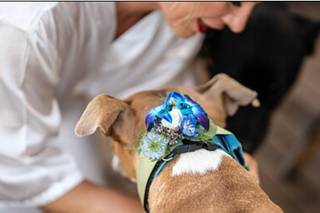 PerTu - 11