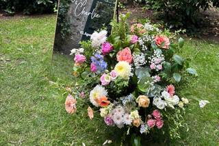 Momentos con Alma - 12