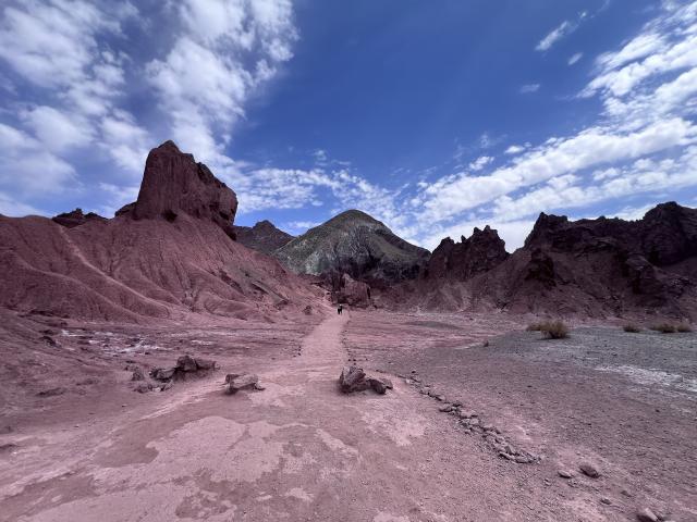 Weissnor - 4