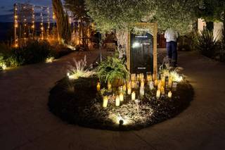Bodegas Campestral - 7
