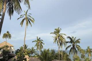 Directia Travel - 6