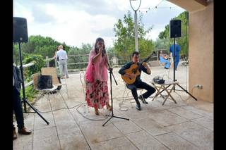 Flamenco Spanish - 4