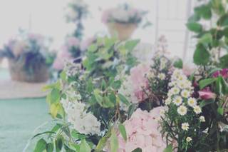 Cotton Candy - 20