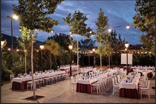 Toros de Guisando - 23