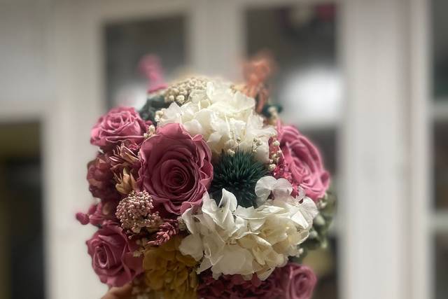 Begonias Flores 3