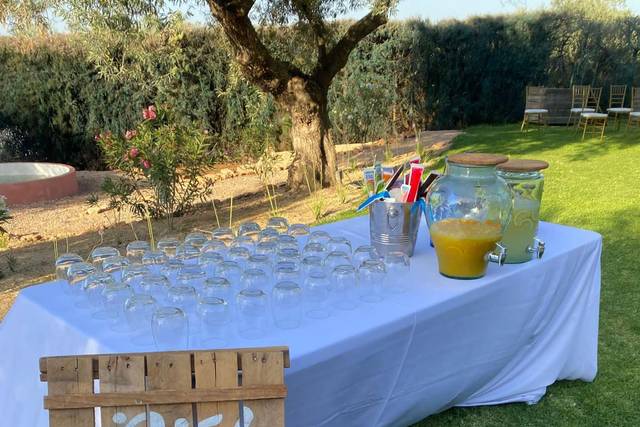 Verónica Catering 4