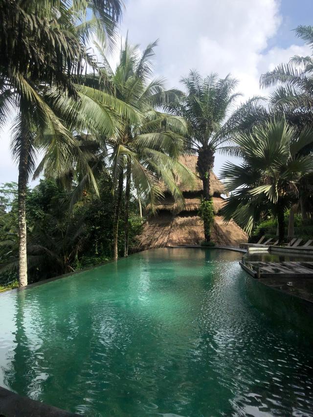Kokoa travel - 4