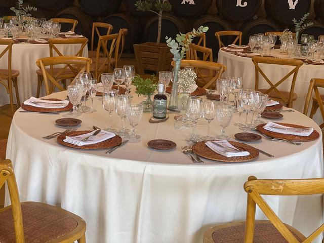 Bodegas Alvear - 3