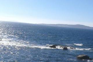 Floristería Picris - 17