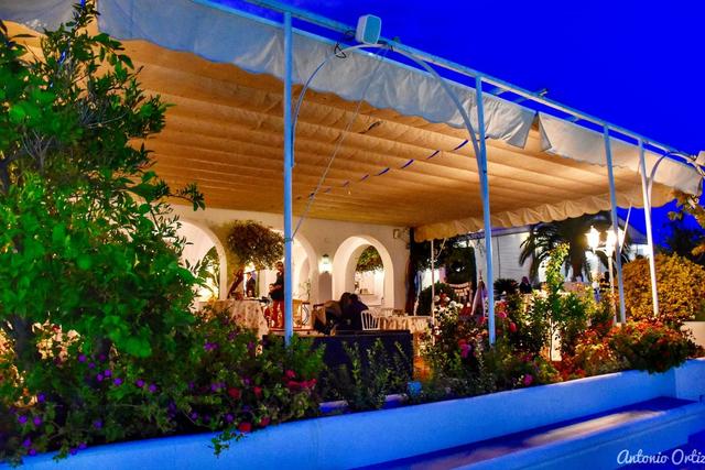 Finca Toribio - 4