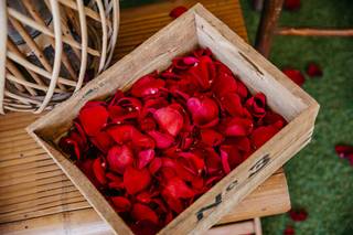 Oliveras Floristes - 12