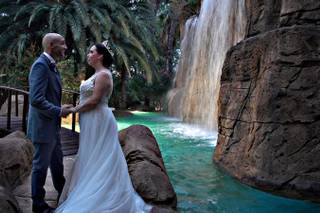 Jardins El Poblet - 14