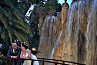 Jardins El Poblet - 15