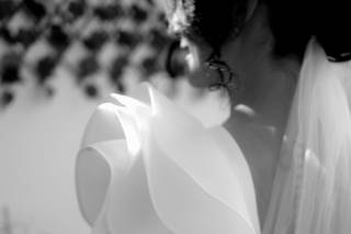 Jose Pedrera - 1