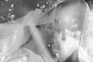 Zebra Audiovisual - 18