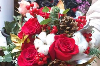 Gloxinia - 6