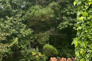 Coches clásicos JMF - 18