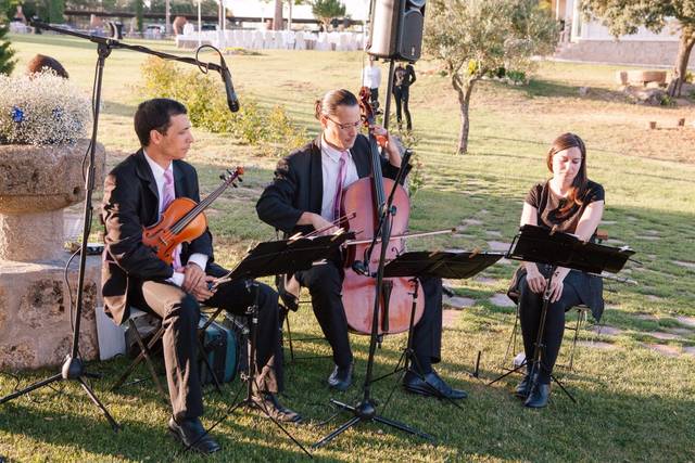 Grupo Swan 1