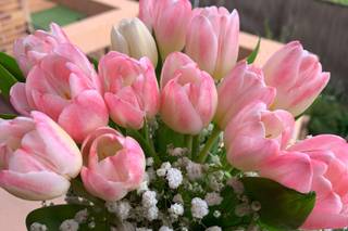 Pink Flower & Co - 5