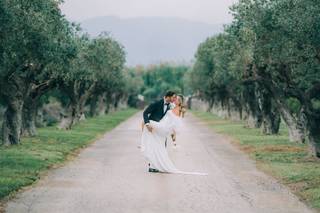 Roel Schins Photography - 6