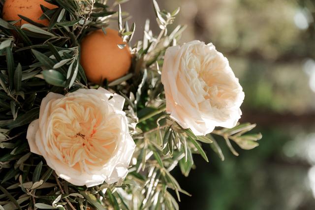 Flors d'Áleli - 1