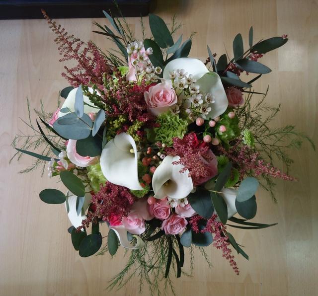 Campanilla - 1