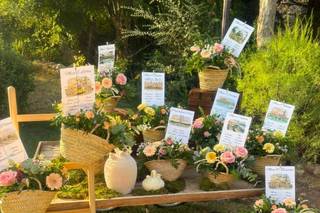Flores Alme - 7