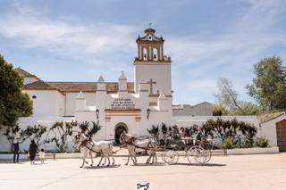 DaniG Photo - 7