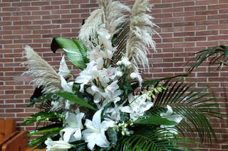 Flor de Romero - 9
