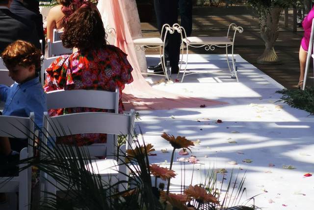 Beatriz González - Maestra de ceremonias 4