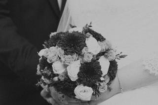 David Photographerx - 10