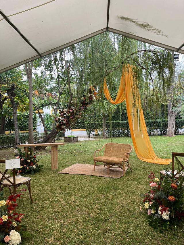 Entre vides y olivares - 1