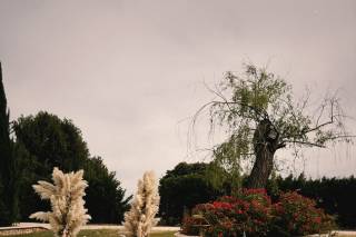 Hotel Finca Las Beatas - 5