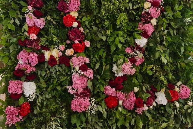 Flors i Plantes Bertrán 2