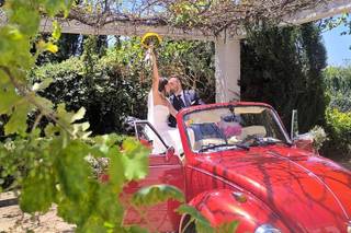 Stella Luna Cars - 1